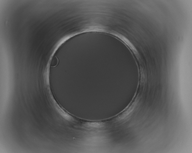 X0000111441246200907201122