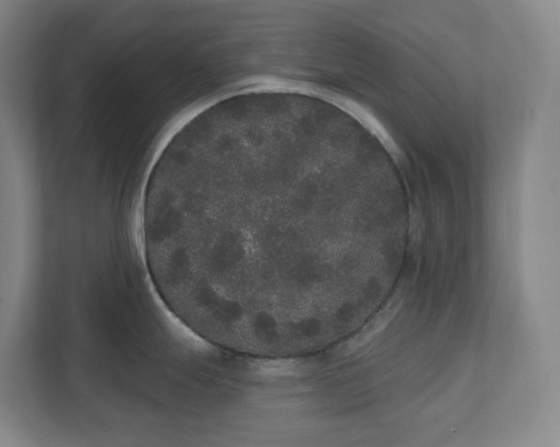 X0000111441247200907201122