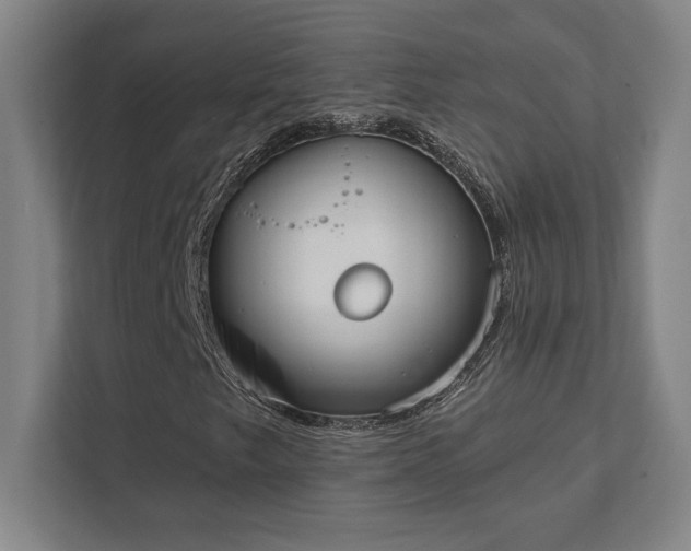 X0000111441249200907201122