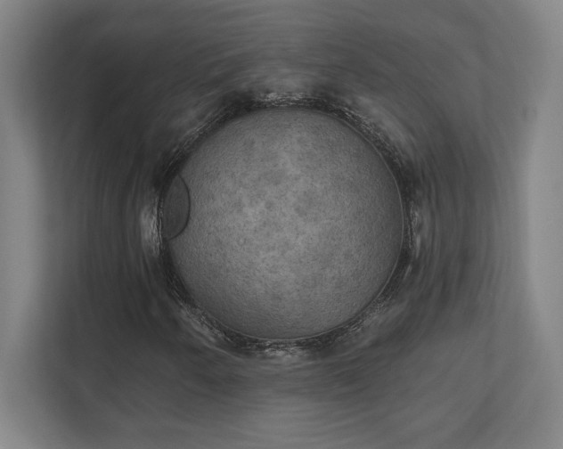 X0000111441250200907201121