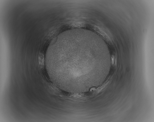 X0000111441251200907201121