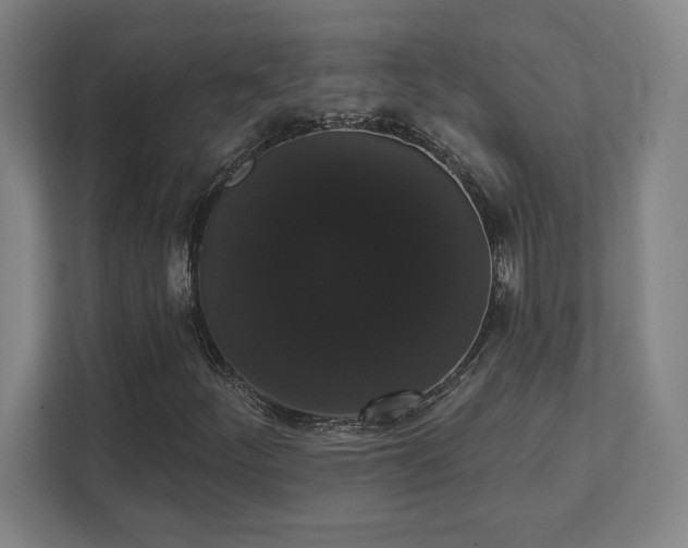X0000111441252200907201121