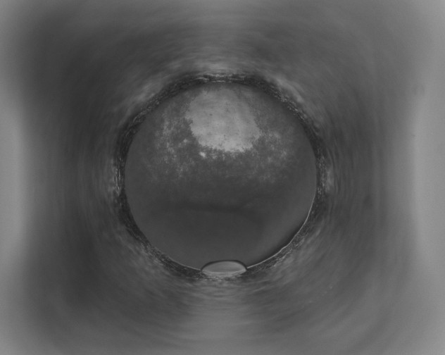 X0000111441253200907201121