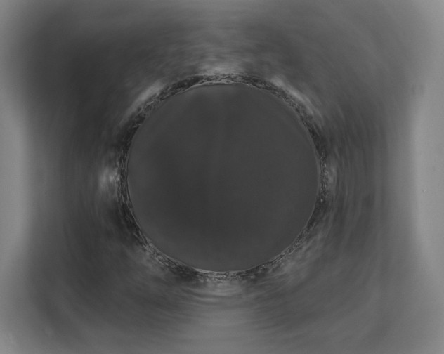 X0000111441254200907201121