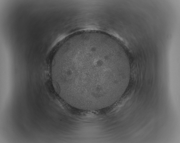X0000111441255200907201121