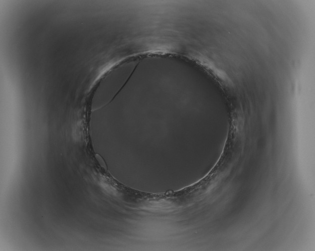 X0000111441256200907201121