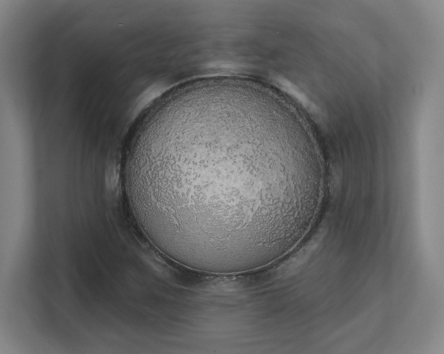 X0000111441259200907201121