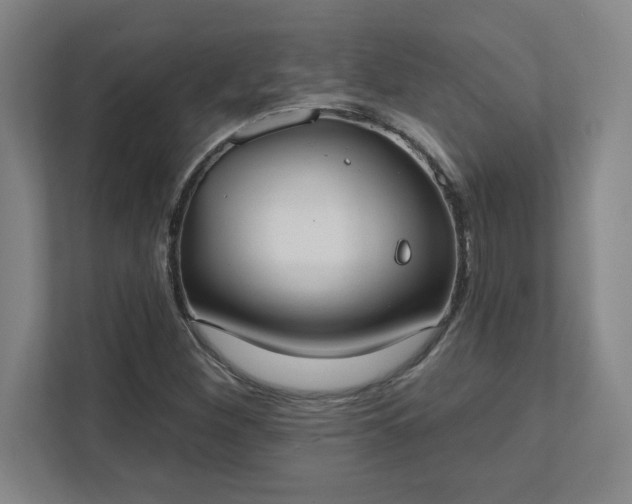 X0000111441260200907201121