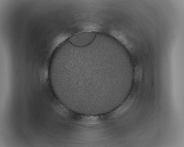 X0000111441261200907201121