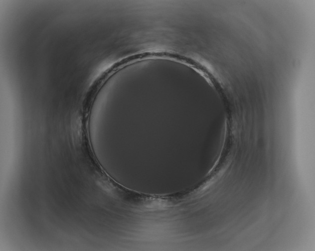 X0000111441263200907201121