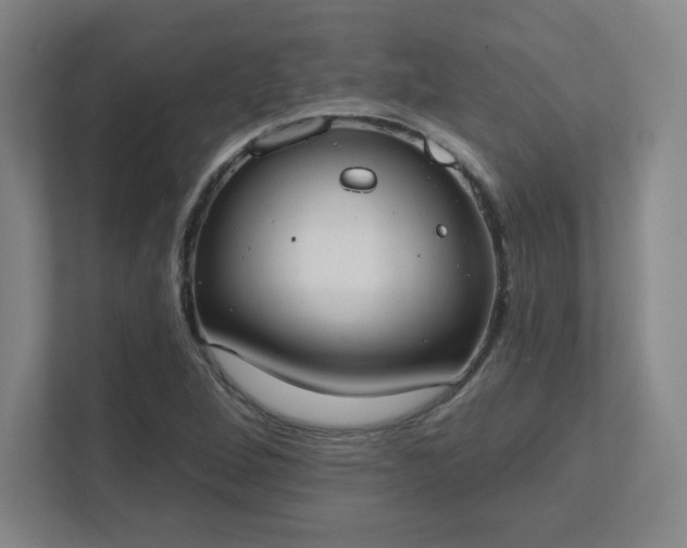 X0000111441264200907201121