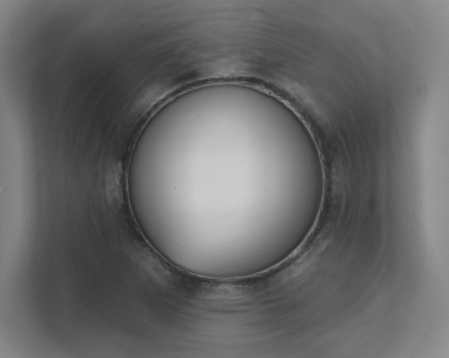 X0000111441265200907201121