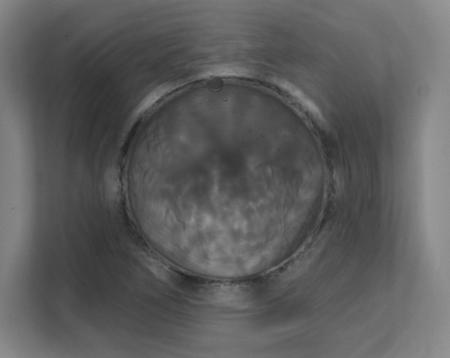 X0000111441266200907201121