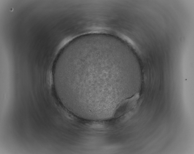 X0000111441267200907201121