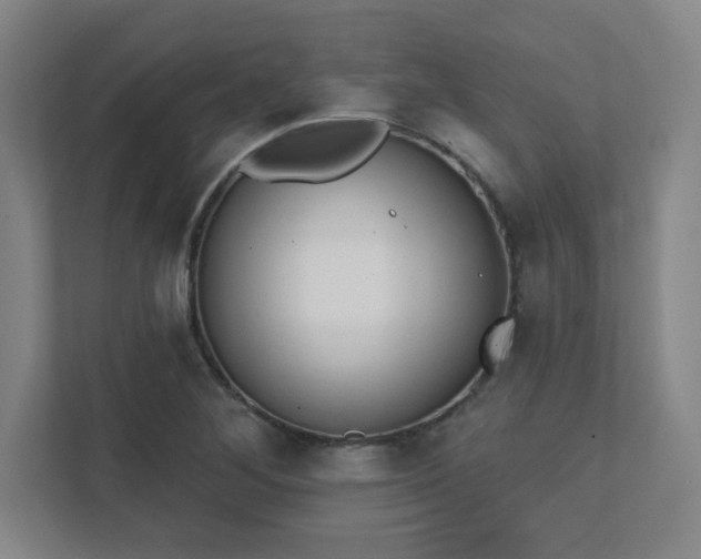 X0000111441268200907201121