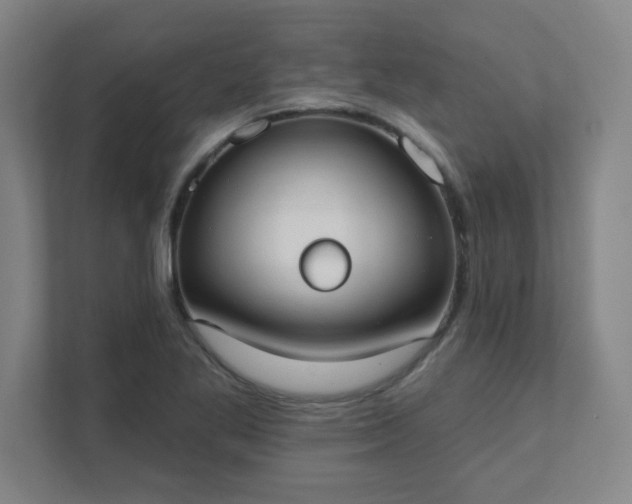X0000111441269200907201121