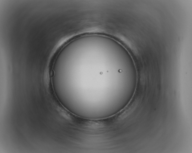 X0000111441270200907201121
