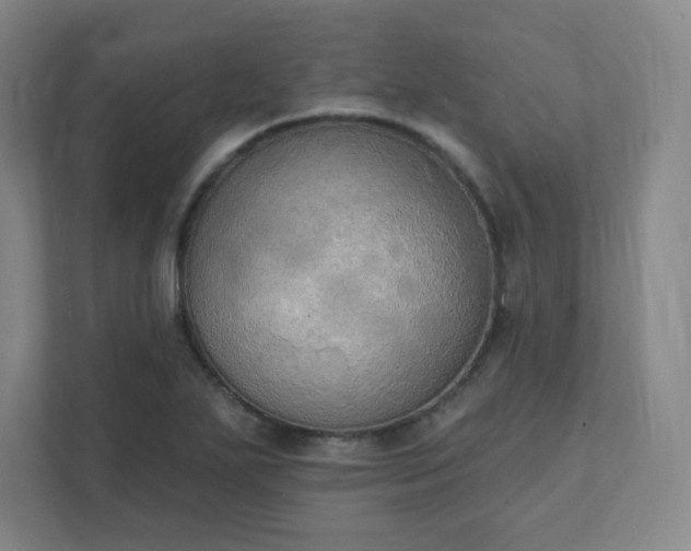 X0000111441271200907201121
