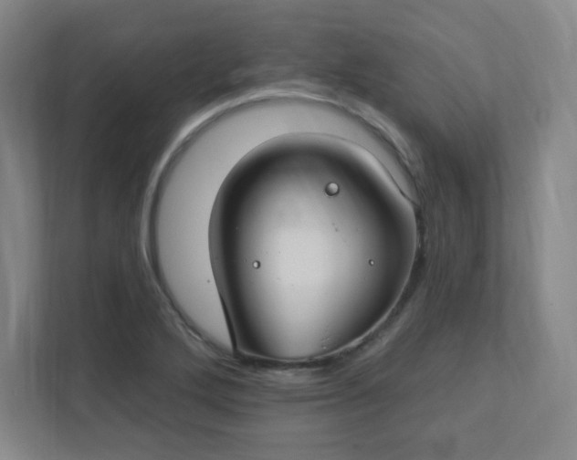 X0000111441272200907201121