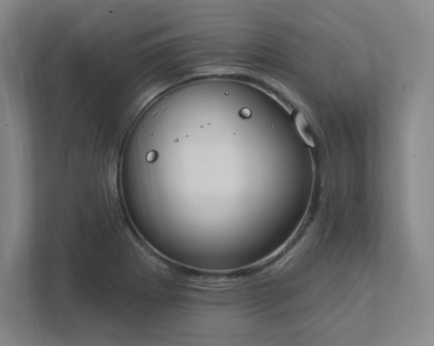 X0000111441273200907201121