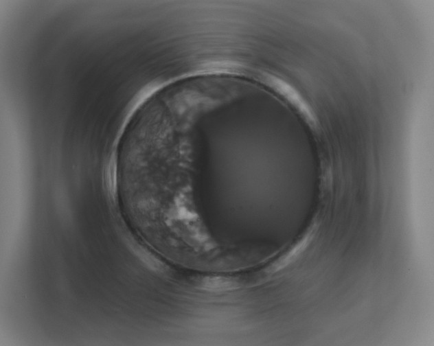 X0000111441275200907201121