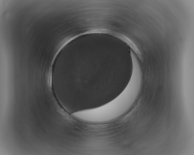X0000111441276200907201121