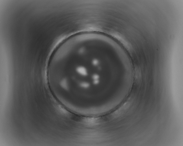 X0000111441278200907201121