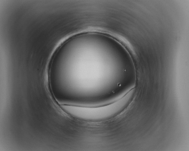 X0000111441280200907201121