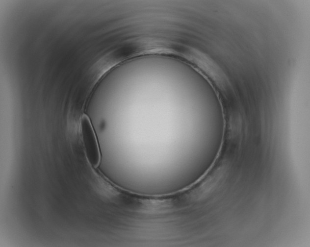 X0000111441281200907201121