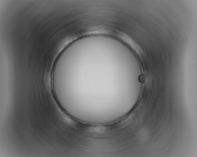 X0000111441282200907201121