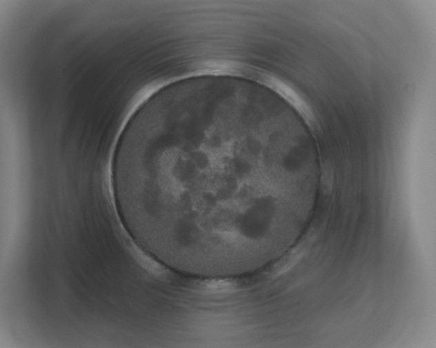 X0000111441283200907201121