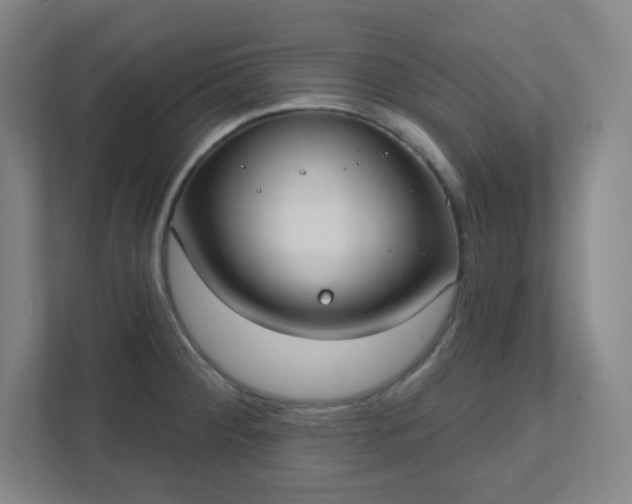 X0000111441284200907201121