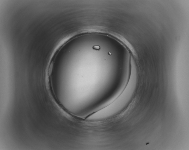 X0000111441285200907201121