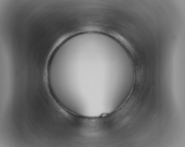 X0000111441286200907201121