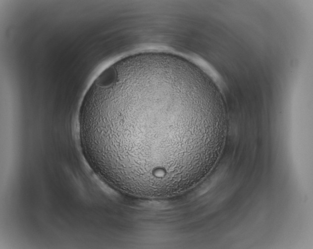 X0000111441287200907201121
