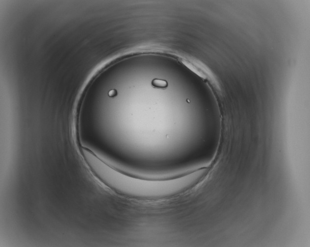 X0000111441288200907201121