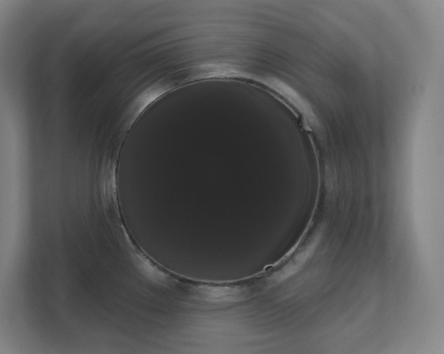 X0000111441289200907201121