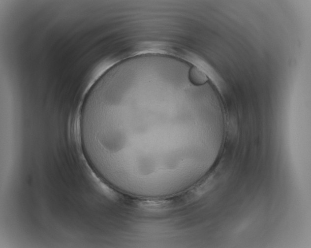 X0000111441290200907201121
