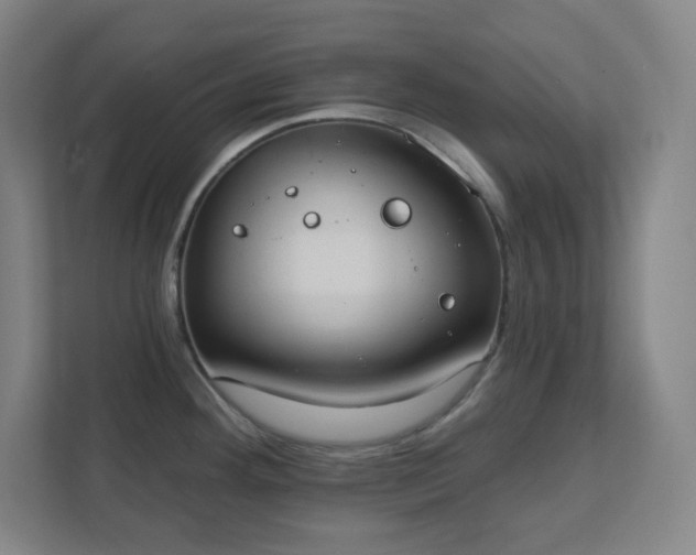 X0000111441292200907201121