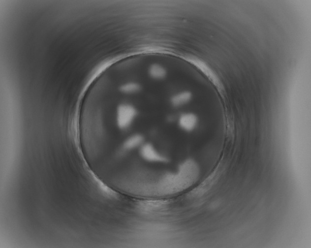 X0000111441294200907201121