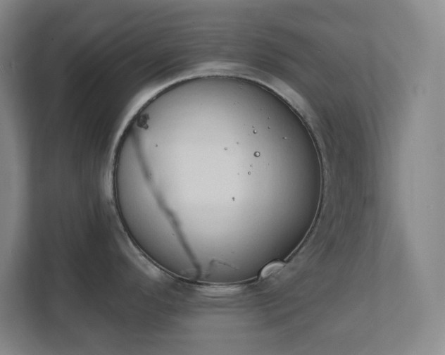 X0000111441296200907201121