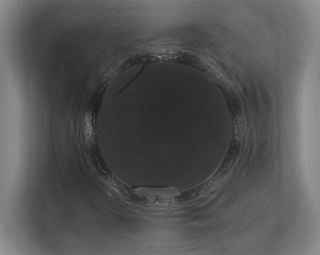 X0000111441298200907201120