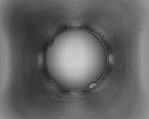 X0000111441299200907201120