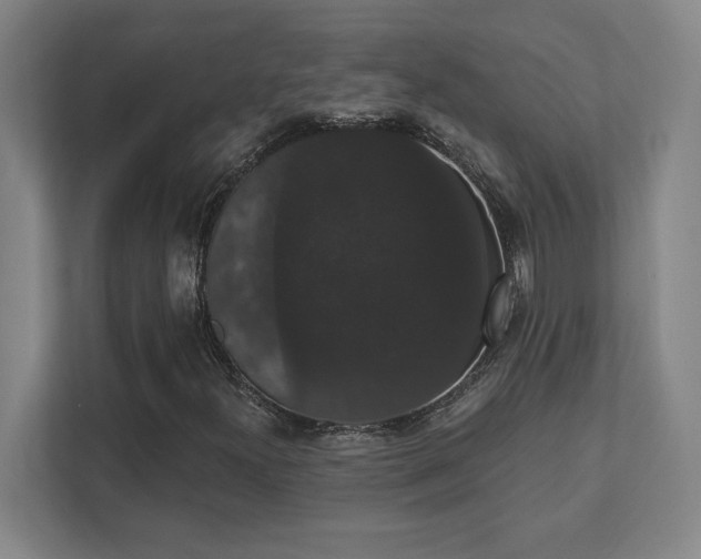 X0000111441300200907201120