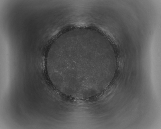 X0000111441301200907201120