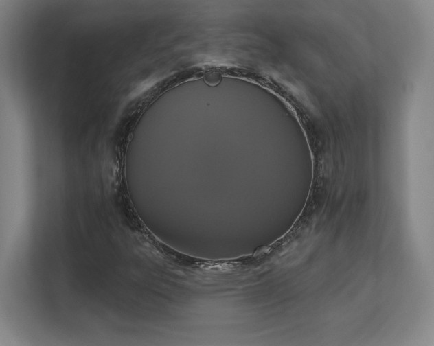 X0000111441303200907201120