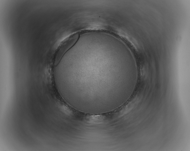 X0000111441304200907201120
