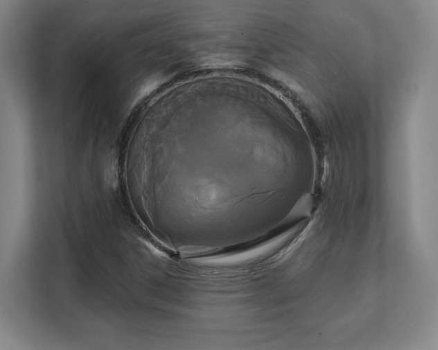 X0000111441306200907201120