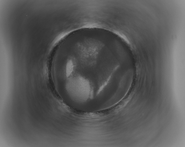 X0000111441311200907201120