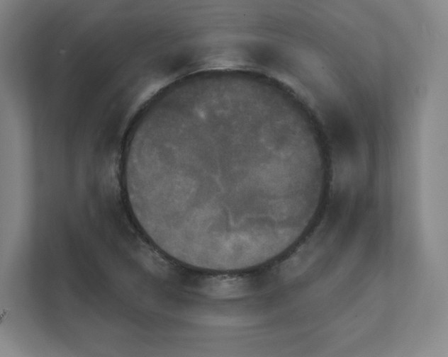 X0000111441314200907201120